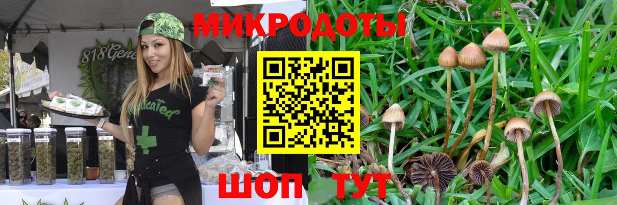Галлюциногенные грибы ЛСД Сызрань